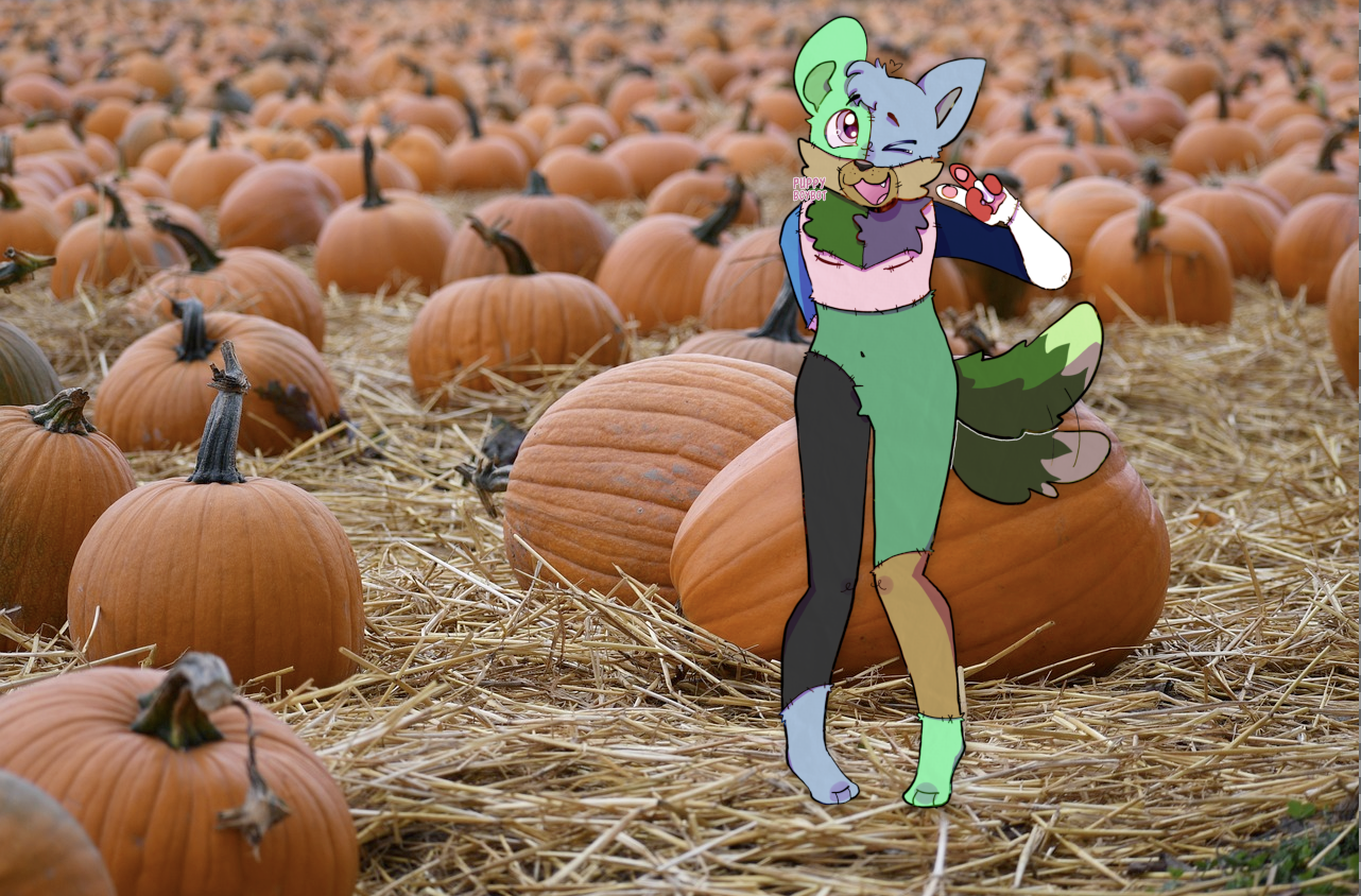 a stitched together plush creature giving a peace sign photoshopped into a pumpkin patch